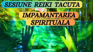 SESIUNE REIKI TACUTA  IMPAMANTAREA SPIRITUALA  741hz [upl. by Ephrayim70]