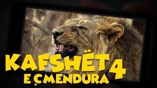 Kafshët e Çmendura  E4 [upl. by Robb878]