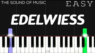 Edelweiss from “The Sound Of Music”  EASY Piano Tutorial [upl. by Brenden227]