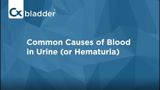 What Causes Blood in Urine  Cxbladder [upl. by Kalle122]