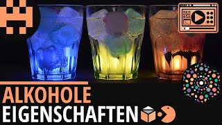 Alkohole Eigenschaften│Chemie Lernvideo│Learning Level Up [upl. by Rufford]