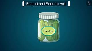 Ethanol and Ethanoic Acid  Part 11  English  Class 10 [upl. by Devlen142]