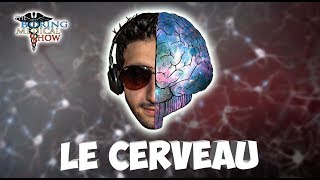 ANATOMIE  LE CERVEAU 🧠 [upl. by Yelraf466]