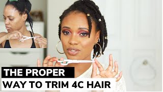 HOW TO TRIM YOUR OWN 4C HAIR Split endsTools amp Schedule Explained [upl. by Tnahsarp]