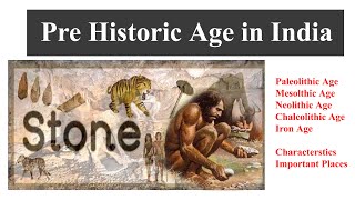 PLSHistory L01Paleolithic Age Mesolithic Age Neolithic Age Chalcolithic Age Iron Age [upl. by Kcorb599]