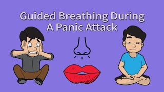 Guided Breathing Exercise Meditation Panic Attacks amp Anxiety [upl. by Elsa]