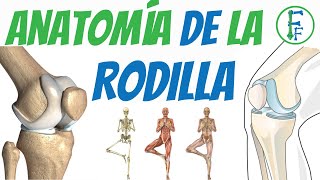 Ejercicios para fortalecer la rodilla  Nivel de recuperación inicial [upl. by Seabrook]