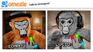 OMEGLE Trolling in Gorilla Tag [upl. by Adlihtam]