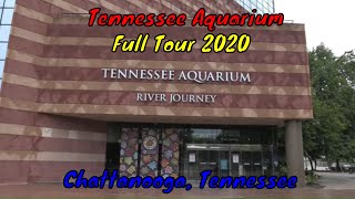 Tennessee Aquarium Full Tour  Chattanooga Tennessee [upl. by Arnaud278]