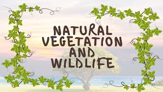 NATURAL VEGETATION AND WILDLIFE  CLASS 9  GEOGRAPHY  CHAPTER 5 [upl. by Jarita]