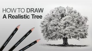 How to Draw a Tree Realistic [upl. by Enahs]