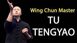 TU TENGYAO The Best  Wing Chun Master [upl. by Anitsyrhk]