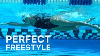 How To Swim Freestyle With Perfect Technique [upl. by Cordova]