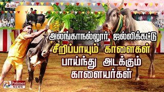 🔴LIVE  Polimer News Live  அலங்காநல்லூர் ஜல்லிக்கட்டு  Alanganallur Jallikattu 2022 [upl. by Riocard726]