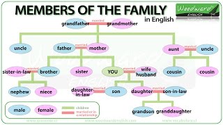 Members of the Family in English  Learn English Vocabulary  Family Tree in English [upl. by Ellehcar]