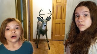 DEER IN OUR HOUSE [upl. by Adlesirk960]