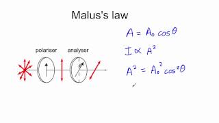 Malus law [upl. by Yhprum545]