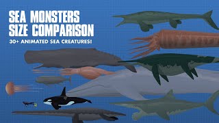 LARGEST SEA CREATURES  ANIMATED Size Comparison Sea Monsters [upl. by Noled669]