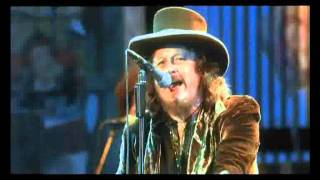 Zucchero Live In Italy  Cosi Celeste [upl. by Renaxela]