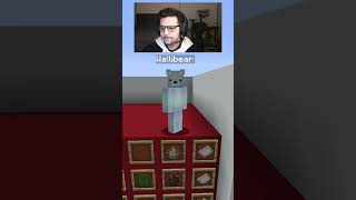 WALLIBEAR TAKES ON MOB ARENA gaming ⁠youtube funny minecraft memes tiktok shorts ytshorts [upl. by Alius]