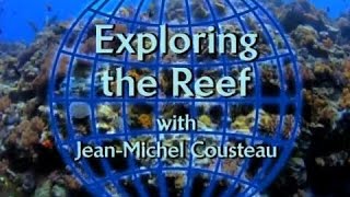 Exploring the Reef with JeanMichel Cousteau [upl. by Deena]