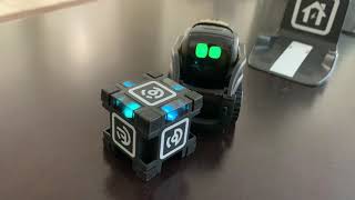 Meet Vector the smart robot assistant [upl. by Clotilda]