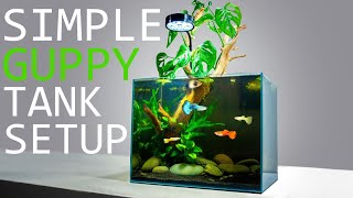 How to Setup a Simple Guppy Fish Tank TUTORIAL [upl. by Pandolfi]