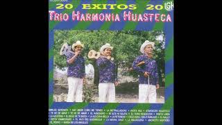 Trio Armonia Huasteca  20 Exitos Disco Completo [upl. by Nidnal]