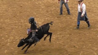 Calf Riding  2018 Junior Bull Riding National Finals NJBRA [upl. by Suryt]