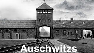 Reportage Auschwitz Camp De La Mort [upl. by Alper]