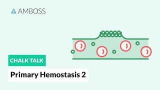 Primary Hemostasis  Part 2 Platelet Activation [upl. by Kaye]