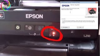 Epson L210 Red light blinking error  How to reset Epson Solved [upl. by Gerhard]