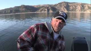 Lake Roosevelt Triploid Rainbow Trout [upl. by Eshman]