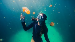 The Most Beautiful Free Diving in the World [upl. by Nnylhtak]