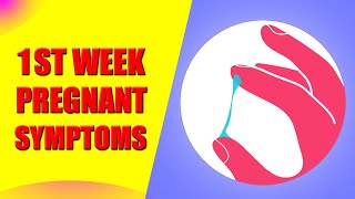 Baby Ultrasound Week 11 Plus Baby Development and Pregnancy Symptoms [upl. by Durwin]