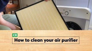 How to Clean an Air Purifier  Consumer Reports [upl. by Fahey371]