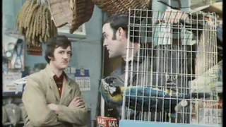 Monty Python The Parrot Sketch amp The Lumberjack Song movie versions HQ [upl. by Aibara271]