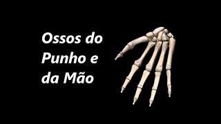 Anatomia do Punho e da Mão em 3D [upl. by Wendye]