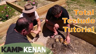 Testudo Tortoise Tutorial [upl. by Ybhsa895]