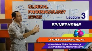 Autonomic Pharmacology Ar  Lec 03  Epinephrine [upl. by Narayan306]