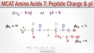 How to Calculate Peptide Charge and Isoelectric Point MCAT Trick [upl. by Kreit658]