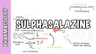 AZITHROMYCIN 500 mg  Full package leaflet what it is for how to use dose warnings side effects [upl. by Anrehs]