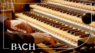 Bach  Concerto in D minor BWV 596  Van Doeselaar  Netherlands Bach Society [upl. by Coop]