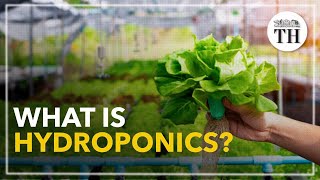 All about Hydroponics [upl. by Delmor]