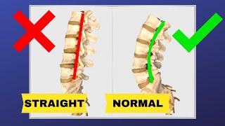 5 Simple Exercises to Put the Spine Back in Perfect Alignment [upl. by Raymond550]