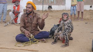 Monkey Dance Funny Video  Bandar ka Khel  बंदर का खेल  Monkey Funny Video  Bandar ka Tamasha [upl. by Barty]