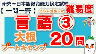 【一問一答・言語③】日本語教育能力検定試験まとめ [upl. by Annirak]