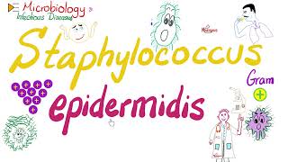 Staphylococcus epidermidis  Microbiology 🧫 amp Infectious Diseases 🦠 [upl. by Aisatsana]