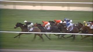 1985 Breeders Cup Turf [upl. by Rubliw]