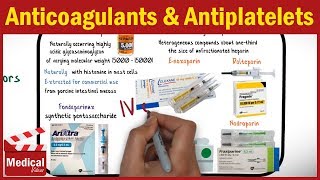 Pharmacology  Anticoagulants and Antiplatelet Drugs FROM A TO Z [upl. by Adnoel]